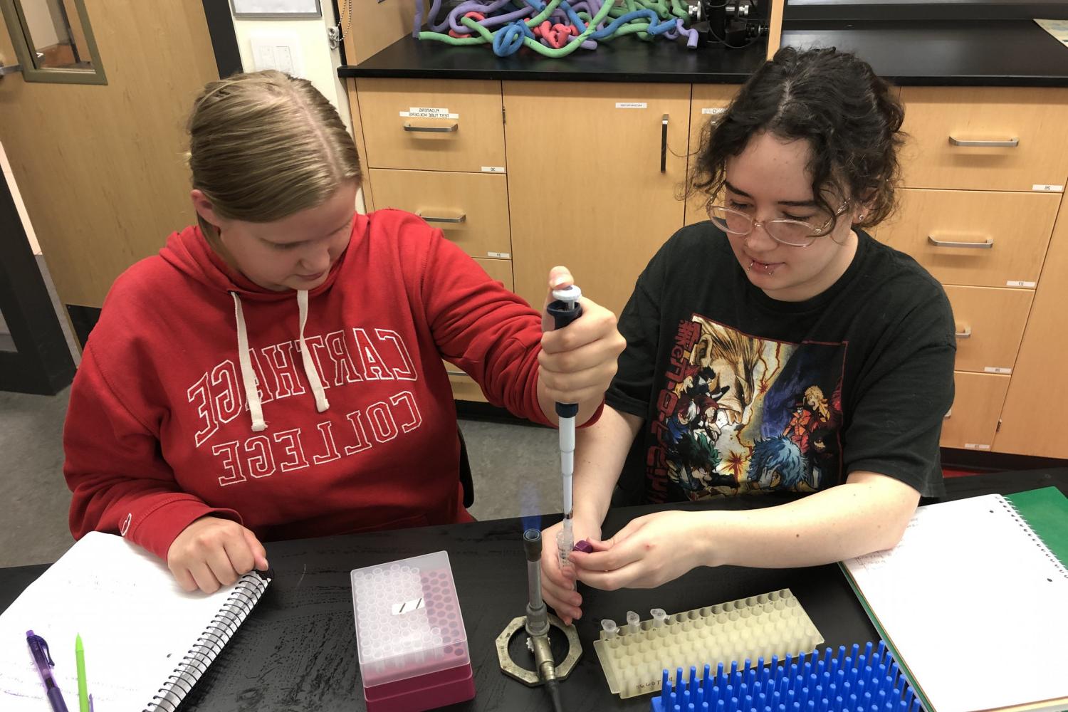 Student majoring in biology conducting research for the HHMI Phage Hunters program.